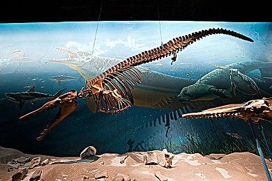 《星核工厂》1.0版本 