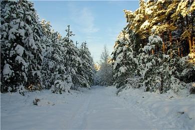 好评塔防《Thronefall》10月推出正式版 登陆Switch