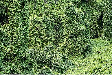 《使命召唤18：先锋》前导预告正式发布