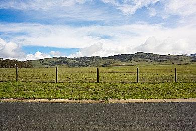 五十岚孝司称《血污：夜之仪式》续作正式立项